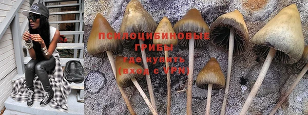 спиды Абдулино