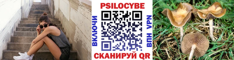 Псилоцибиновые грибы прущие грибы  Кедровый 